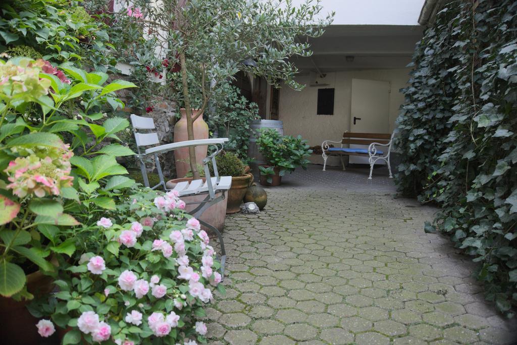 Hotel Garni Altes Winzerhaus Moselschaenke Kobern-Gondorf Ngoại thất bức ảnh